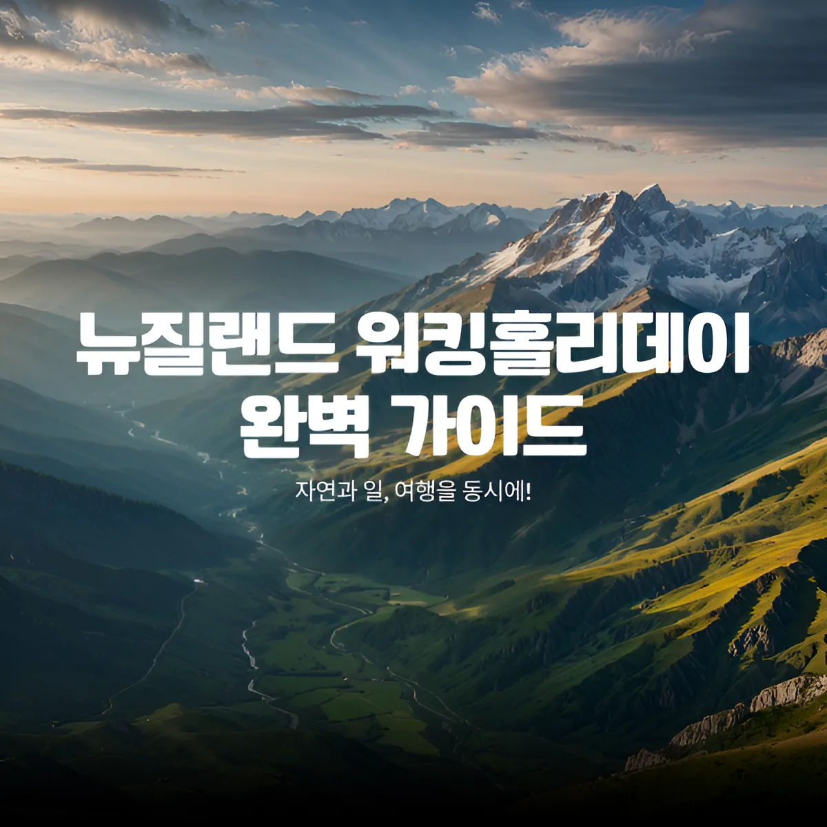 뉴질랜드 워킹홀리데이 완벽 가이드 | 신청·서류·취업까지 한 번에